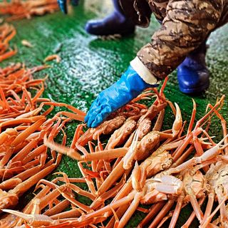 노가네수산님의 자유주제 · 사진전 작성글 사진