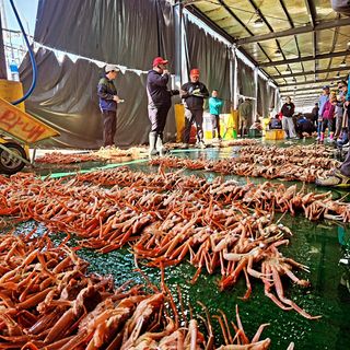 노가네수산님의 자유주제 · 사진전 작성글 사진