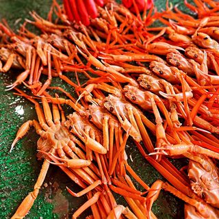 노가네수산님의 자유주제 · 사진전 작성글 사진