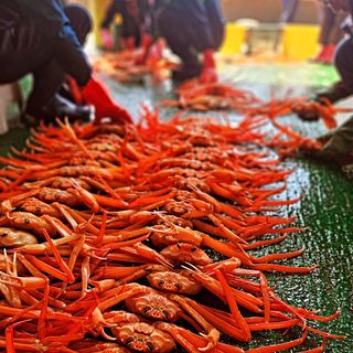 노가네수산님의 자유주제 · 사진전 작성글 사진