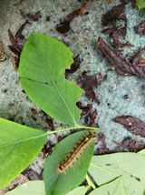 팜모닝 자유주제·건의해요 게시글 이미지