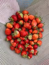 팜모닝 자유주제·자유게시판 게시글 이미지