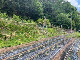 도곡님의 자유주제 · 자유게시판 작성글 사진