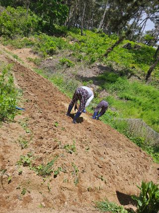 김서운님의 5월 내 작물 자랑하기 · 참여글 작성글 사진