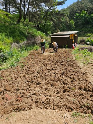김서운님의 5월 내 작물 자랑하기 · 참여글 작성글 사진