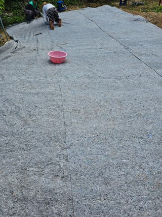 김서운님의 5월 내 작물 자랑하기 · 참여글 작성글 사진