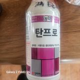 팜모닝 자유주제·사진전 게시글 이미지