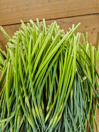 김혜순님의 5월 내 작물 자랑하기 · 참여글 작성글 사진