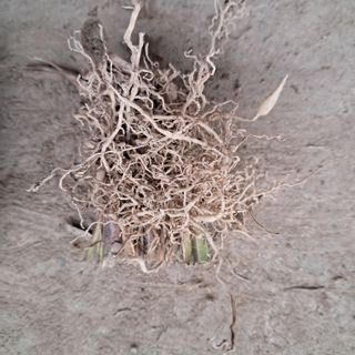 이은화님의 5월 내 작물 자랑하기 · 참여글 작성글 사진