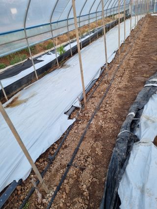 장례지도사1급님의 자유주제 · 자유게시판 작성글 사진