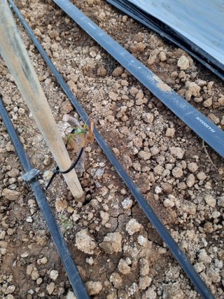 장례지도사1급님의 자유주제 · 자유게시판 작성글 사진