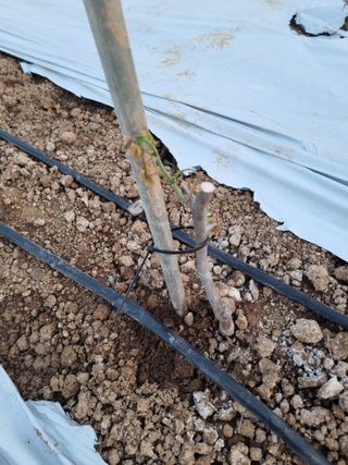 장례지도사1급님의 자유주제 · 자유게시판 작성글 사진