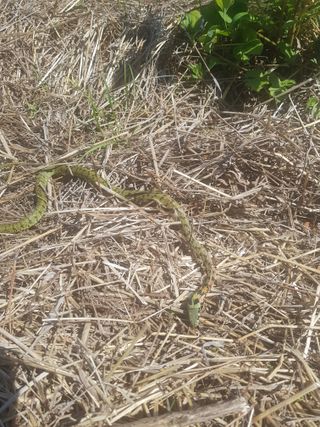 김영석님의 자유주제 · 자유게시판 작성글 사진