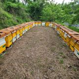 팜모닝 · 게시글 이미지