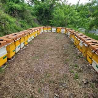 서녕영더기님의 작성글 사진