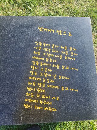 구좌당근.감자.콜라님의 5월 내 작물 자랑하기 · 참여글 작성글 사진