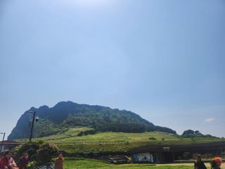 구좌당근.감자.콜라님의 5월 내 작물 자랑하기 · 참여글 작성글 사진
