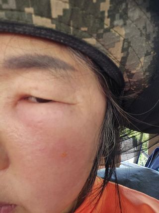 영숙님의 마늘 · 일상 작성글 사진