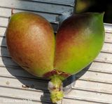 팜모닝 자유주제·자유게시판 게시글 이미지