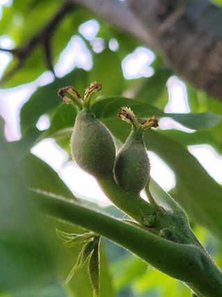 허 동길(길이농장)님의 자유주제 · 자유게시판 작성글 사진