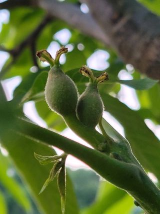 허 동길(길이농장)님의 자유주제 · 자유게시판 작성글 사진