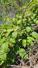 팜모닝 자유주제·자유게시판 게시글 이미지