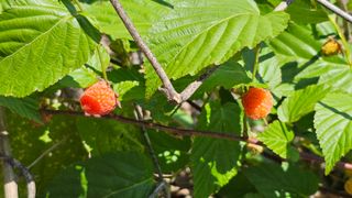 정권채님의 자유주제 · 자유게시판 작성글 사진