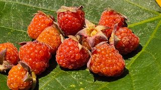 정권채님의 자유주제 · 자유게시판 작성글 사진