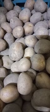 팜모닝 · 게시글 이미지