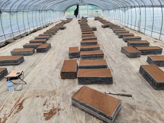 김순례님의 5월 내 작물 자랑하기 · 참여글 작성글 사진