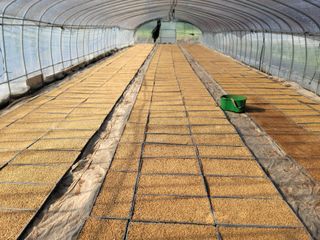 김순례님의 5월 내 작물 자랑하기 · 참여글 작성글 사진