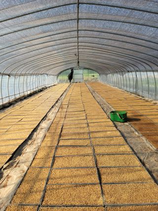 김순례님의 5월 내 작물 자랑하기 · 참여글 작성글 사진