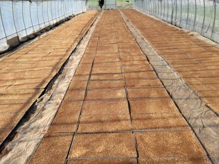 김순례님의 5월 내 작물 자랑하기 · 참여글 작성글 사진