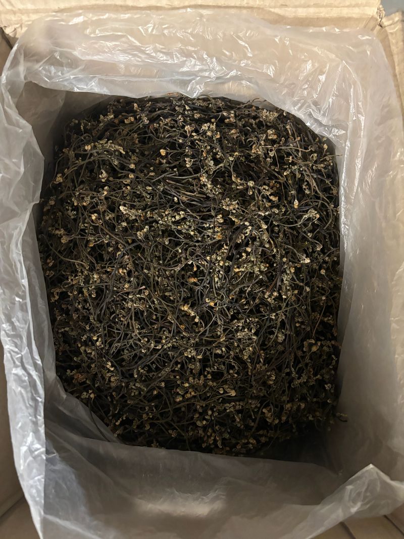 장터 상품 [전남강진에서 재배한 햇고사리 판매합니다] 썸네일