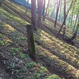 팜모닝 5월 내 작물 자랑하기·참여글 게시글 이미지