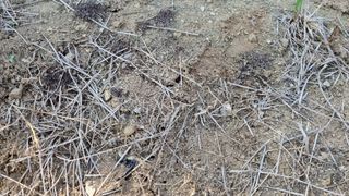 이병문님의 자유주제 · 자유게시판 작성글 사진