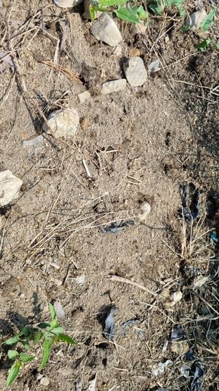 이병문님의 자유주제 · 자유게시판 작성글 사진