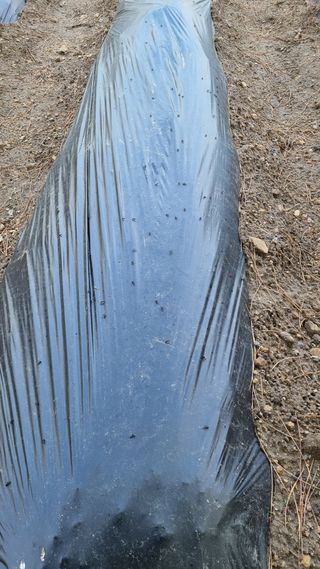 이병문님의 자유주제 · 자유게시판 작성글 사진