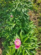 팜모닝 자유주제·사진전 게시글 이미지