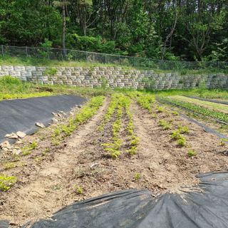 이종권님의 자유주제 · 자유게시판 작성글 사진