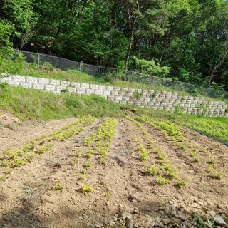 이종권님의 자유주제 · 자유게시판 작성글 사진