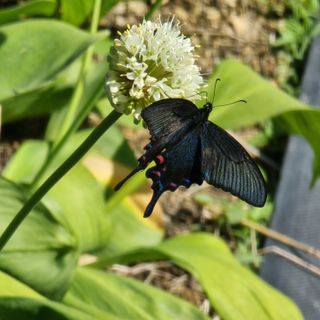 이종권님의 자유주제 · 자유게시판 작성글 사진