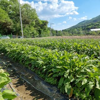이종권님의 자유주제 · 자유게시판 작성글 사진