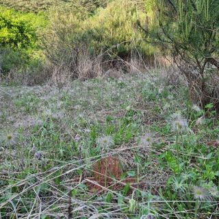 이종권님의 자유주제 · 자유게시판 작성글 사진