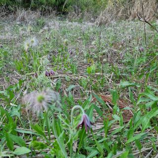이종권님의 자유주제 · 자유게시판 작성글 사진