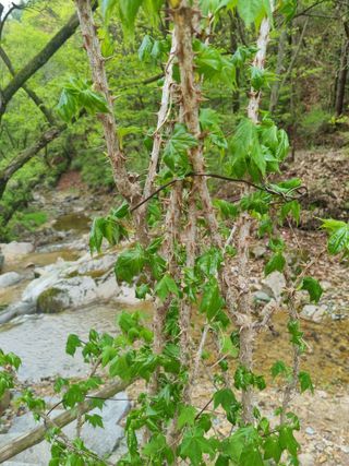 이지용님의 자유주제 · 자유게시판 작성글 사진