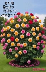 팜모닝 자유주제·자유게시판 게시글 이미지