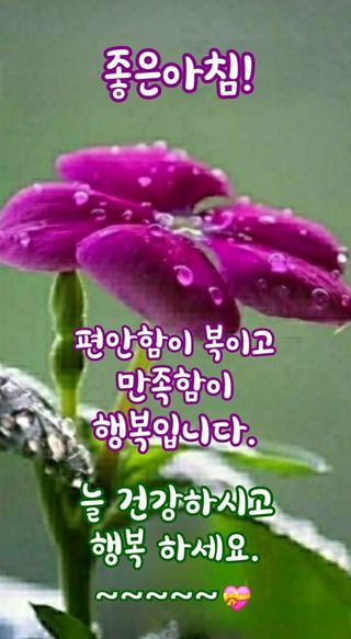 손병만님의 자유주제 · 자유게시판 작성글 사진