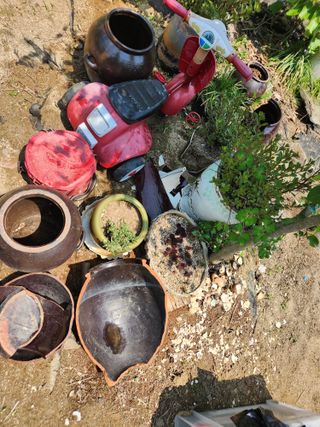 고영희님의 5월 내 작물 자랑하기 · 참여글 작성글 사진