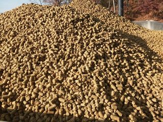 피롤땅지기님의 자유주제 · 자유게시판 작성글 사진